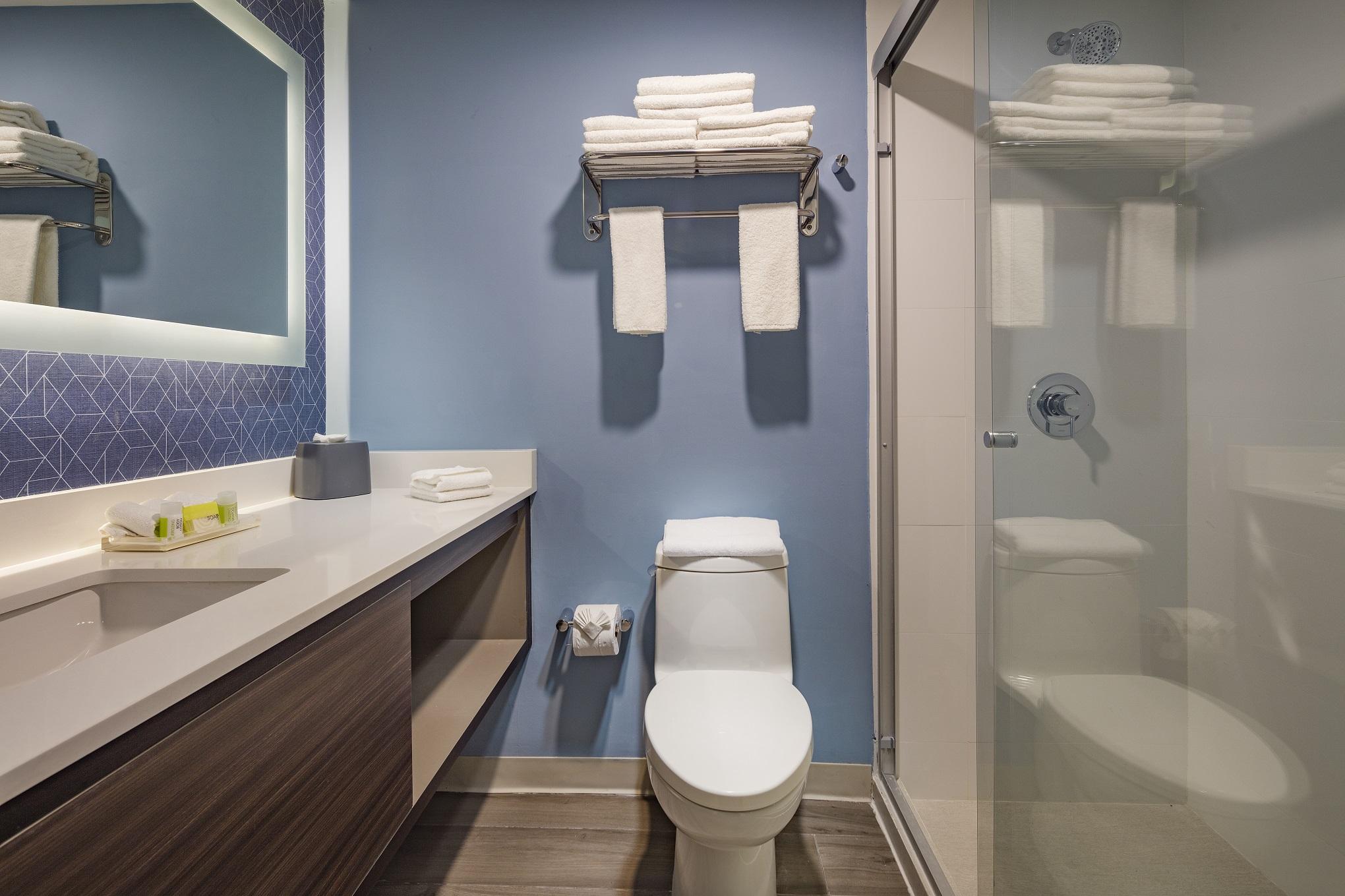 Holiday Inn & Suites - Aguascalientes By Ihg المظهر الخارجي الصورة